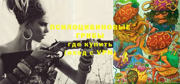 apvp Касимов
