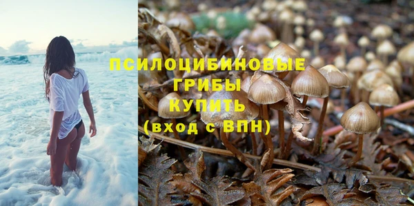 прущие крисы Карпинск