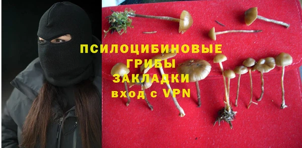 прущая мука Киренск